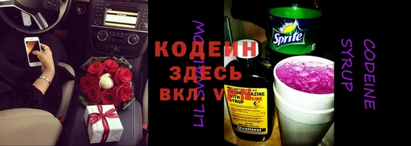 амф Россошь