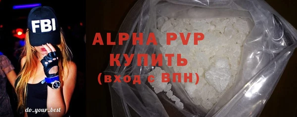 мдпв Рославль