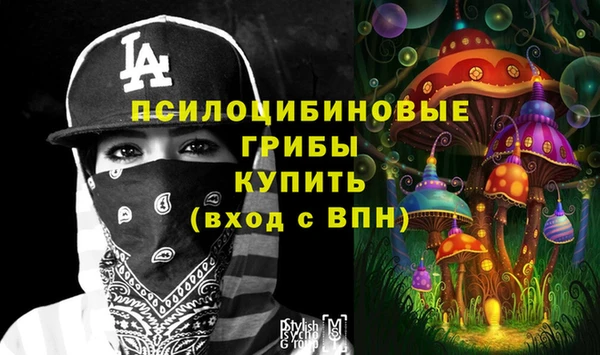 мдпв Рославль
