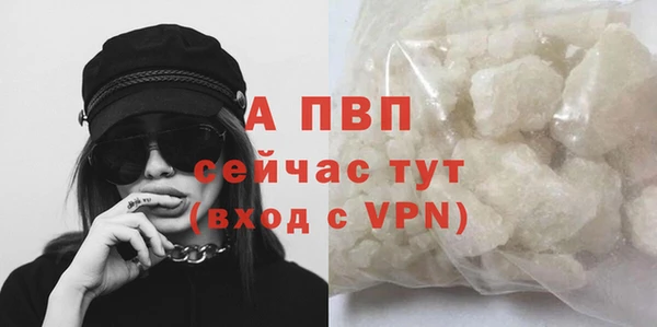 твердый Ростов
