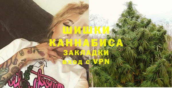 шишки Кирсанов