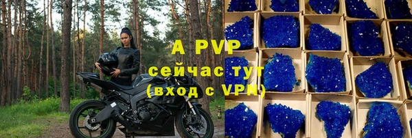 мдпв Рославль