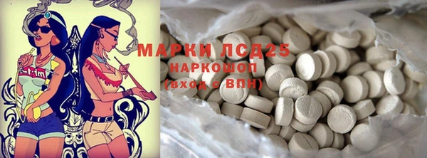 шишки Кирсанов