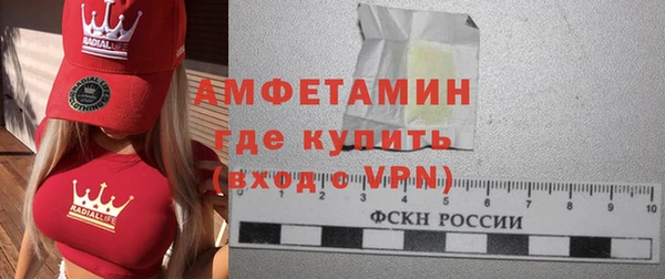 мдпв Рославль