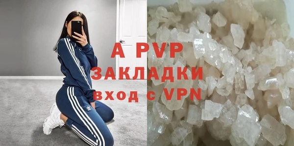 амф Россошь