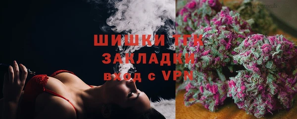 амф Россошь