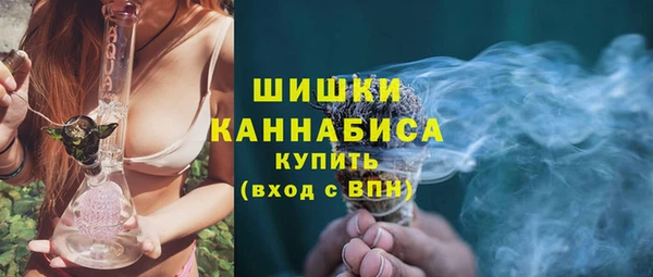 мдпв Рославль