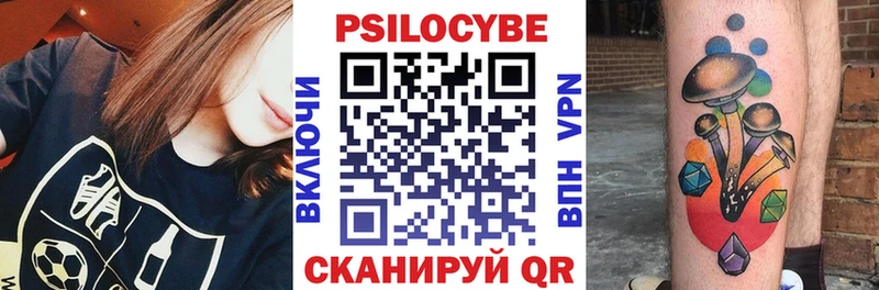купить  сайты  Урень  Галлюциногенные грибы Psilocybe 